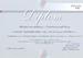 Ocenění